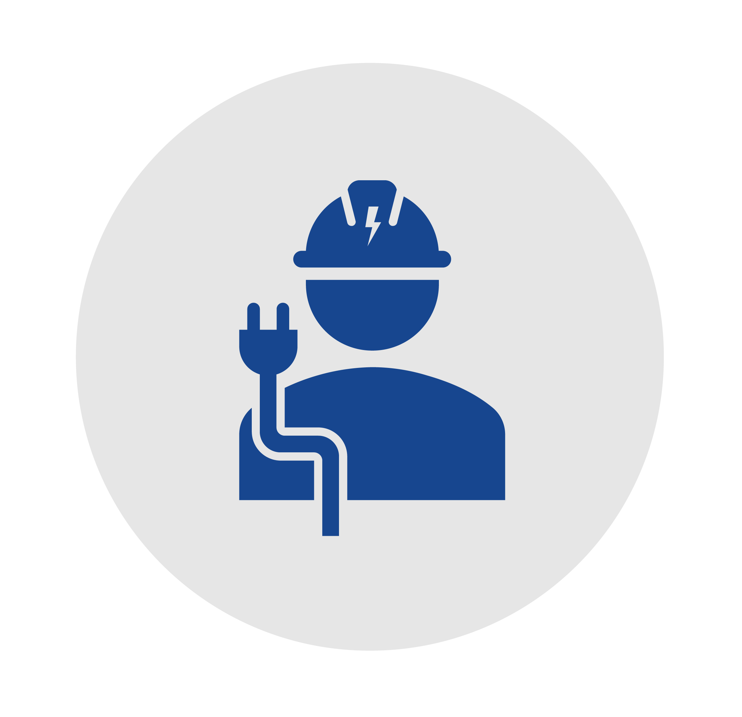 Live Classroom__electric management_